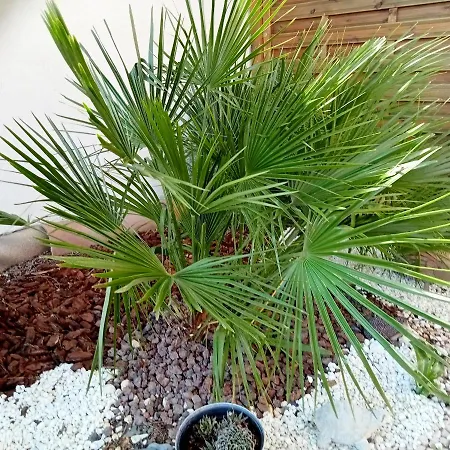 Privat bolig O Jardin Provencal, Logement Independant Entier, Piscine, Spa, Jardin